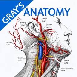 Gray's Anatomy - Anatomy Atlas 아이콘